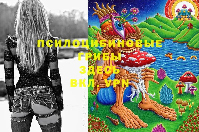 Галлюциногенные грибы Magic Shrooms  Баксан 